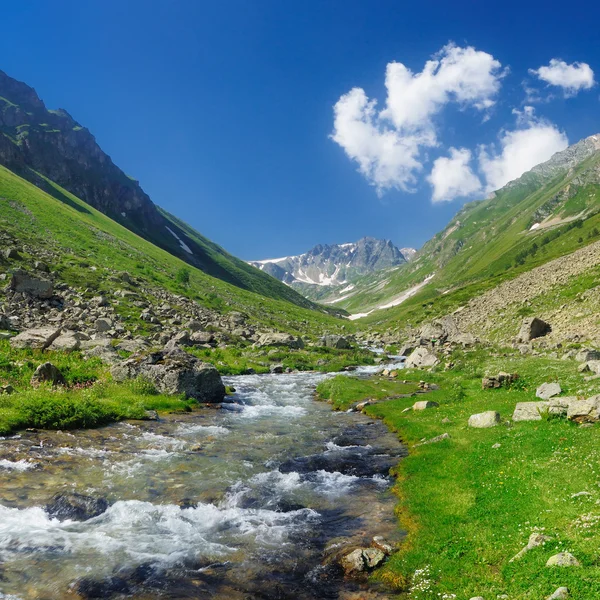 stock image Mountain river