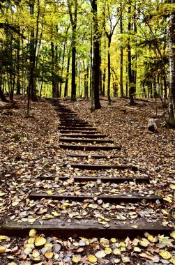 Wooden Stairs clipart