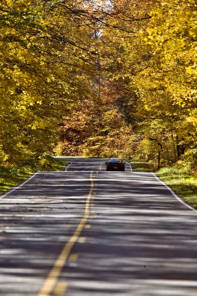 Outono Árvores Queda Michigan Cores Bonito Vermelho Laranja — Fotografia de Stock