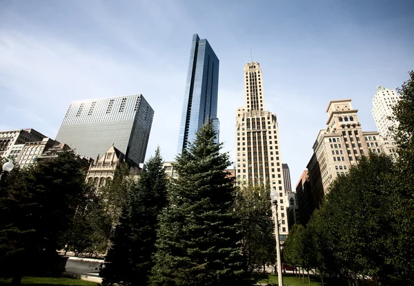 Chicago cityscape — Stok fotoğraf