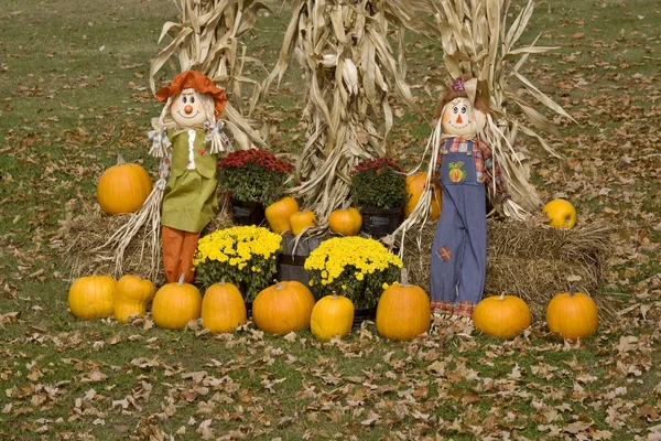 Halloween Display Minnesota Pumpkin Scarecrow Corn Maize — Stock Photo, Image