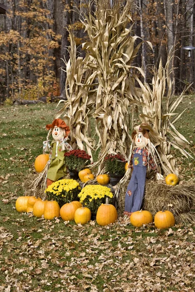 Halloween Display Minnesota Pumpkin Scarecrow Corn Maize — Stock Photo, Image