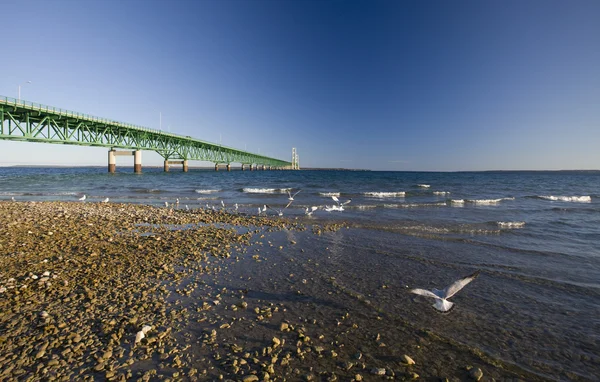 マキナック シティにあるミシガン州を橋します。 — ストック写真