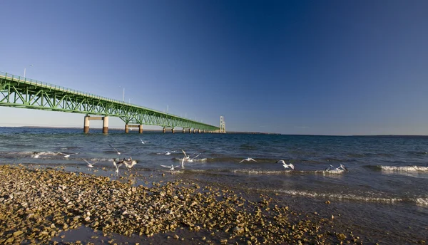 Mackinaw City Bridge Michigan Automne Automne Ignace — Photo