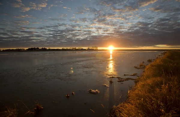 日落萨斯喀彻温沼泽池塘反射加拿大 — 图库照片