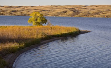 Saskatchewan buffalo göl pound sonbahar görünümü