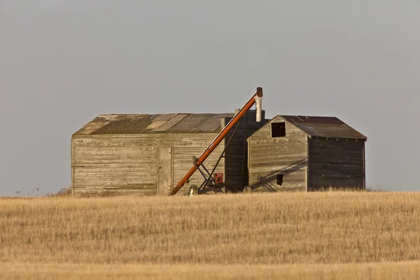 Фермерские зернохранилища прерии Канады Оже — стоковое фото