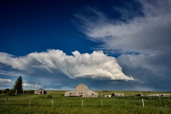 Edifici agricoli abbandonati Saskatchewan — Foto Stock