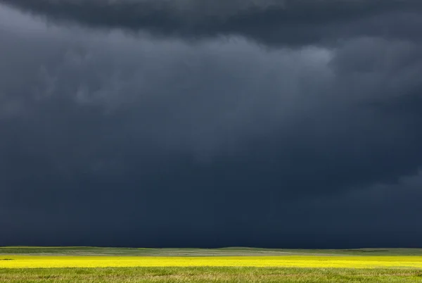 Nuages Orageux Prairie Sky Saskatchewan Canada — Photo
