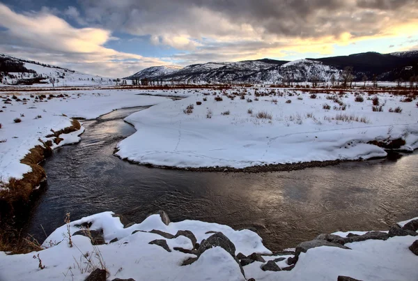 Yellowstone Park Wyoming Kış Kar — Stok fotoğraf