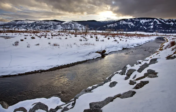Yellowstone park wyoming vinter snö — Stockfoto