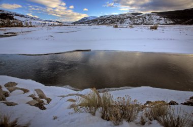 Yellowstone park wyoming kış kar