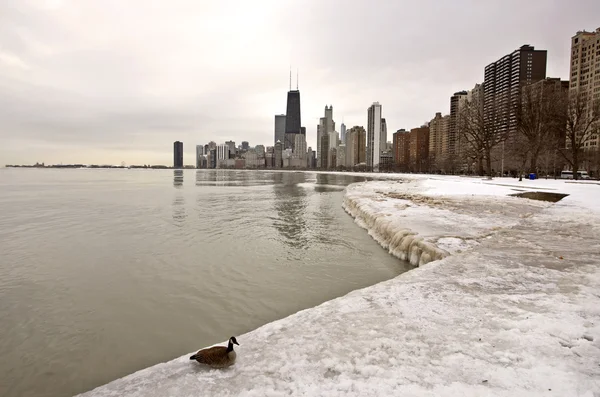 Chicago şehir şehir