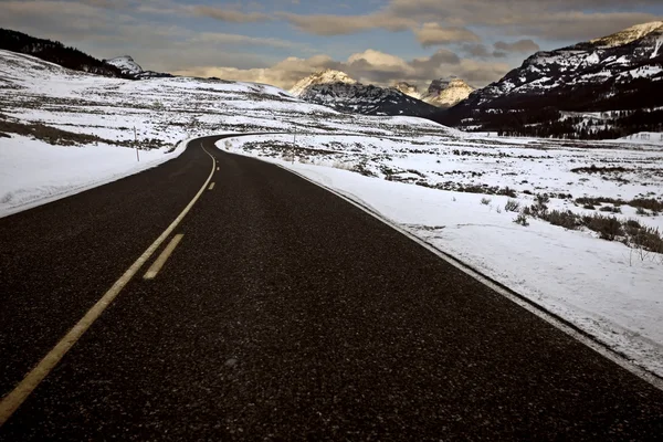 Yellowstonský park wyoming zimní sníh — Stock fotografie