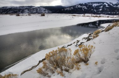 Yellowstone park wyoming kış kar soda butte creek