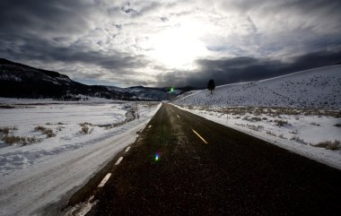 Yellowstone park wyoming kış kar