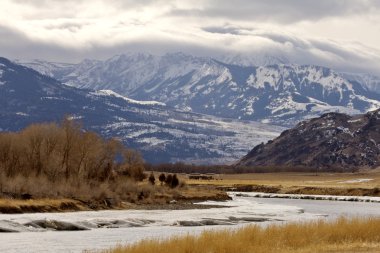 Yellowstone park wyoming kış kar