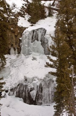 Yellowstone park wyoming kış kar şelale