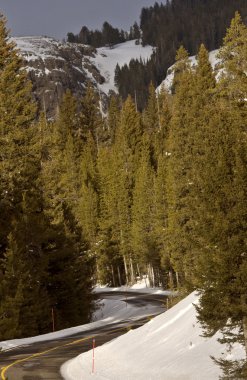 Yellowstone park wyoming kış kar