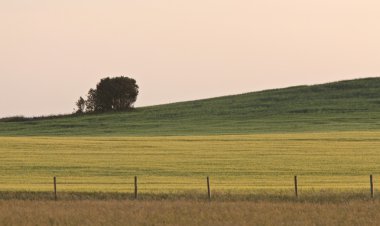 Saskatchewan ülke sahne