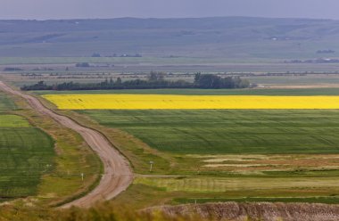 çiftliğinin yakınlarında mortlach saskatchewan