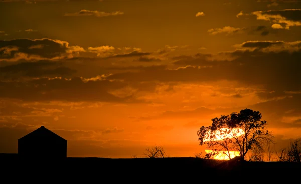 Sunset Prairies — Stock Photo, Image