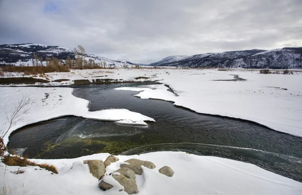 Yellowstone Park wühlt Winter Schnee Soda Butte Creek — Stockfoto