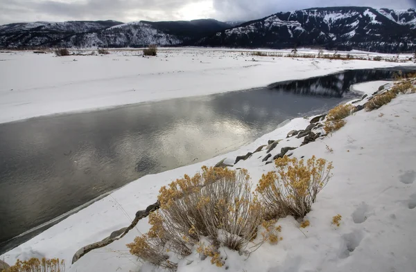 Yellowstone Park Wyoming Hiver Snow soda butte creek — Photo