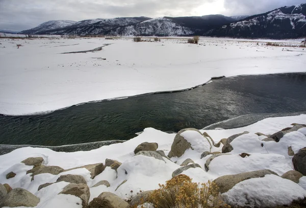 Yellowstone Park Wyoming Winter Snow soda butte creek — Stock Photo, Image
