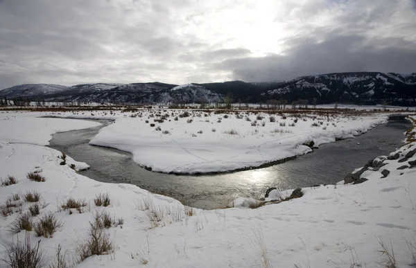 Yellowstone Park Wyoming Vinter Snö Soda Butte Creek — Stockfoto