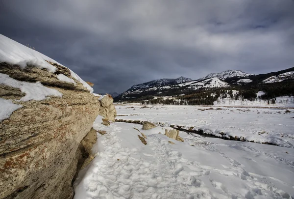 Yellowstonský Park Wyoming Zimní Sníh — Stock fotografie