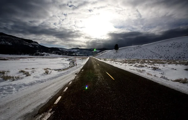 Yellowstone Park Wyoming Vinter Snö — Stockfoto