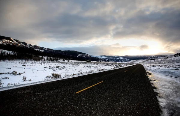 Πάρκο Yellowstone Ουαϊόμινγκ Χειμώνα Χιόνι — Φωτογραφία Αρχείου