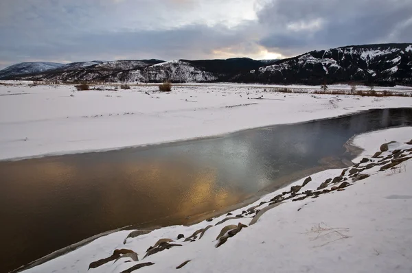 Arroyo de la butte Yellowstone park wyoming invierno nieve Sosa — Foto de Stock