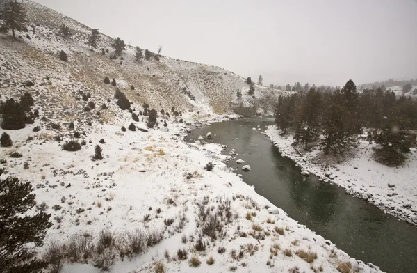 Yellowstone park wyoming vinter snö — Stockfoto