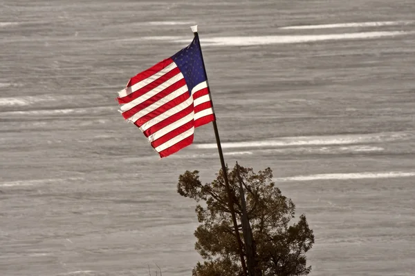 Amerikai Zászló — Stock Fotó