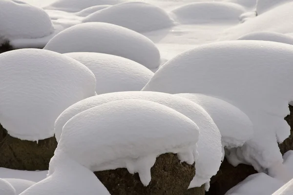 Yellowstone Park Wyoming Winter Snow soda butte creek — Stock Photo, Image