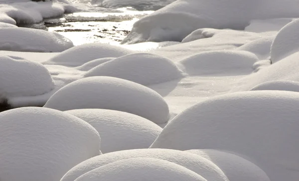 Arroyo Butte Yellowstone Park Wyoming Invierno Nieve Sosa —  Fotos de Stock