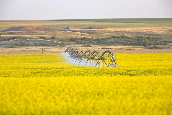 Irrigatori Irrigazione Lavoro — Foto Stock