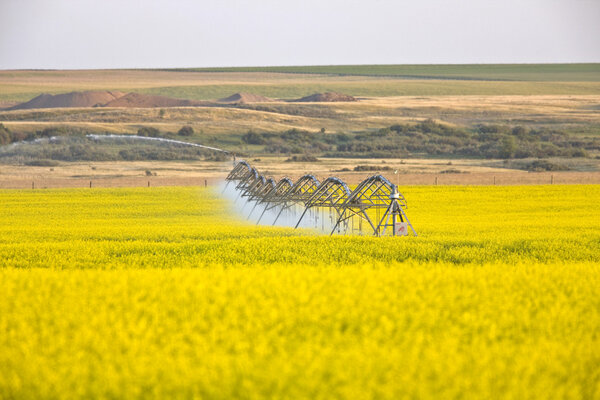 Орошение дождеватели на работе
