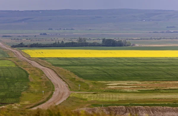 Fazenda perto de Mortlach Saskatchewan — Fotografia de Stock