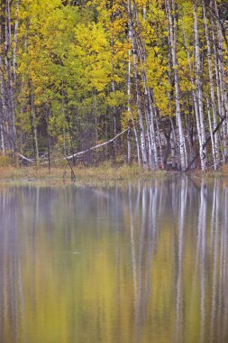 Kuzey lake Kanada sonbahar sonbahar yansımalar