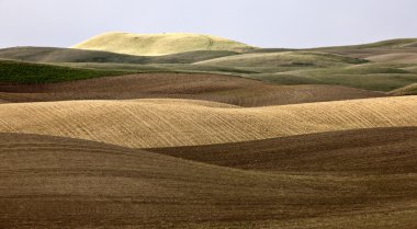 yüksek ovalar hills saskatchewan, Kanada