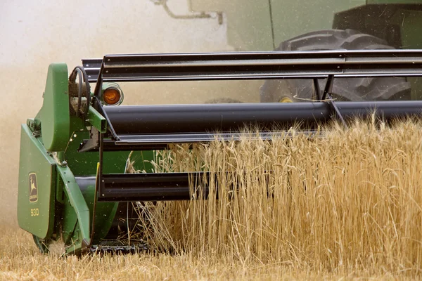 Zblízka Kombinující Pšenice Saskatchewan Kanada — Stock fotografie