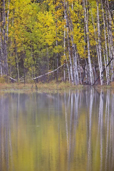 Queda Reflexões Outono Norte Lago Canadá — Fotografia de Stock