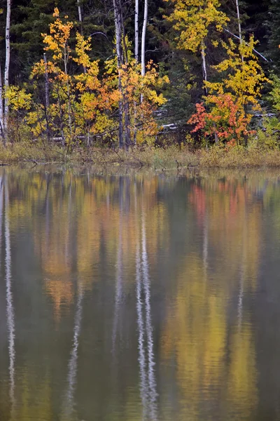 Herfst Reflecties Noordelijke Lake Canada Vallen — Stockfoto