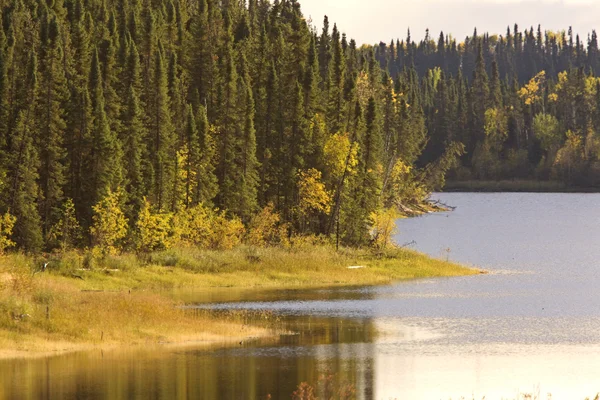 Severní manitoba jezero poblíž thompson na podzim — Stock fotografie