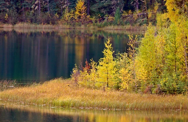 秋にトンプソンの近くの北のマニトバ湖 — ストック写真