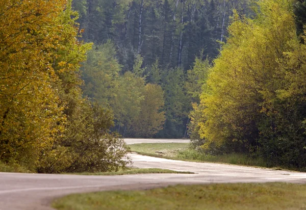 Estrada Norte Manitoba Outono — Fotografia de Stock