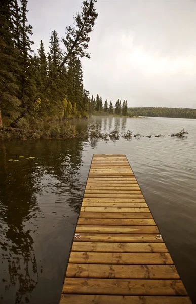Prince Albert National Park Canada — 스톡 사진